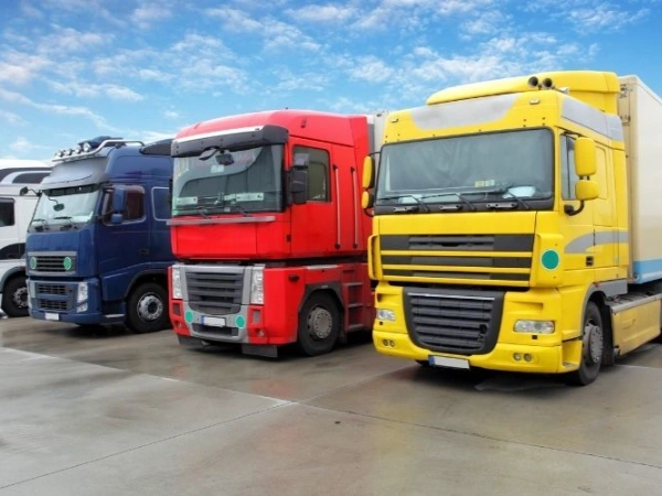 Antalya Arguvan Nakliye